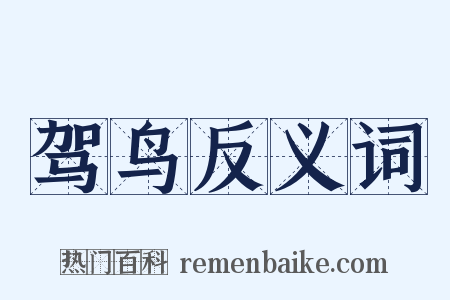 驾鸟反义词是什么意思的图片